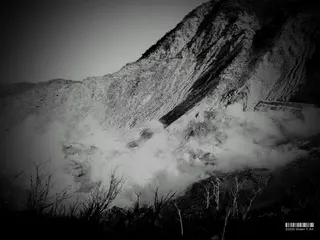 Thumbnail 13